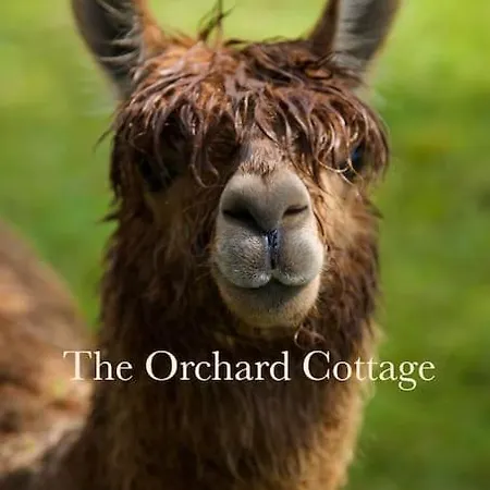 Nyaraló The Orchard Soiron *
